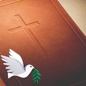 Meet your Posher, Elodia